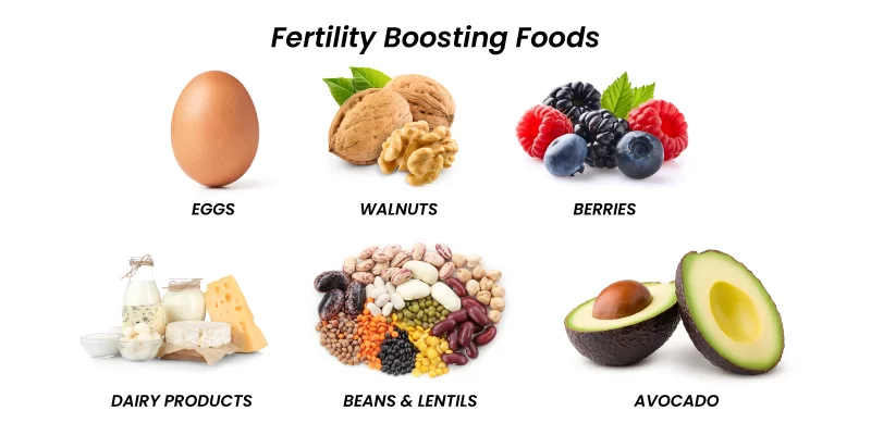 Fertility diet & lifestyle counseling