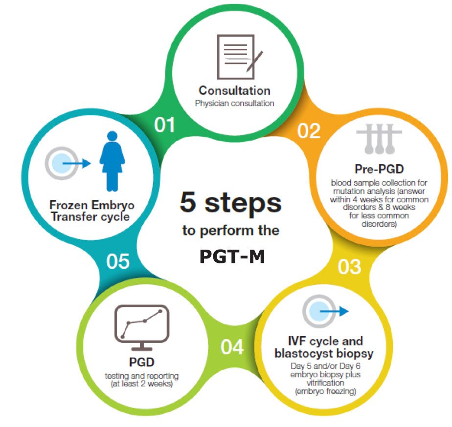 Genetic testing (PGT-A / PGT-M)