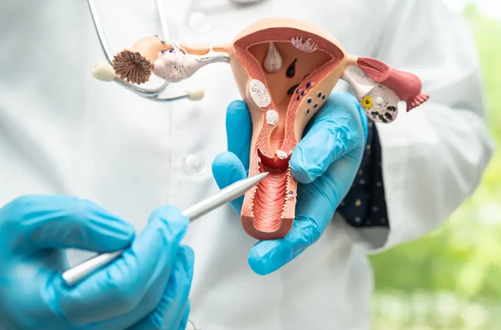 Routine Gynecology Check Up